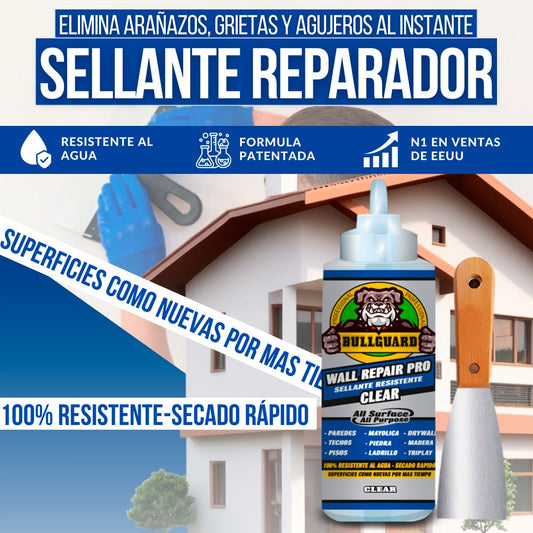 KIT SELLANTE REPARADOR EDICION4